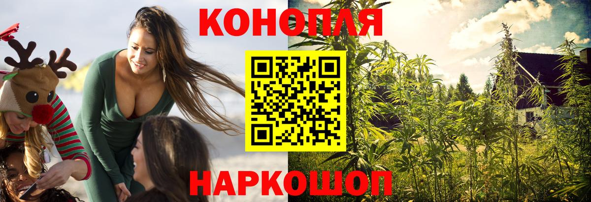 Шишки марихуана планчик Ижевск